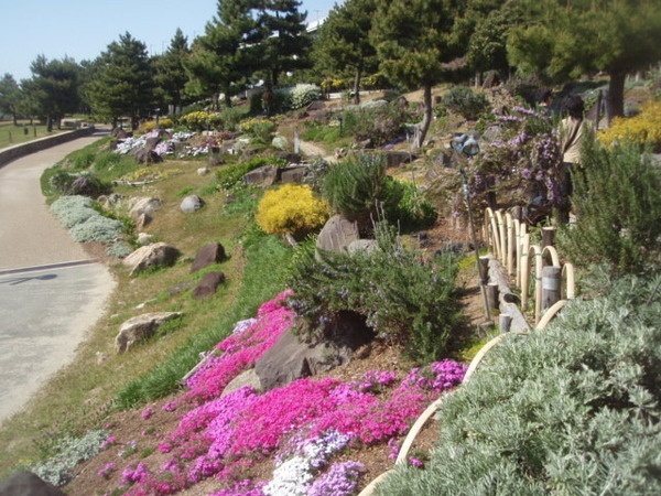 りんくう公園マーブルビーチ6