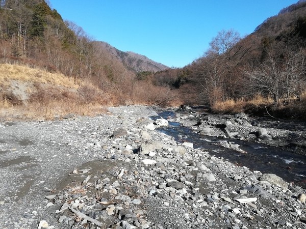 芦安キャンプサイトNo.25