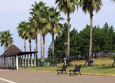 二色の浜公園 海浜緑地DAYキャンプエリア・ドッグフリーDAYキャンプエリア